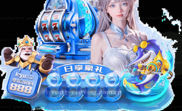 联系支持指南